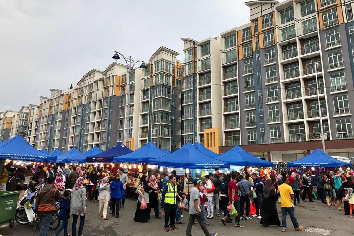 Dephane * Cameron Highlands