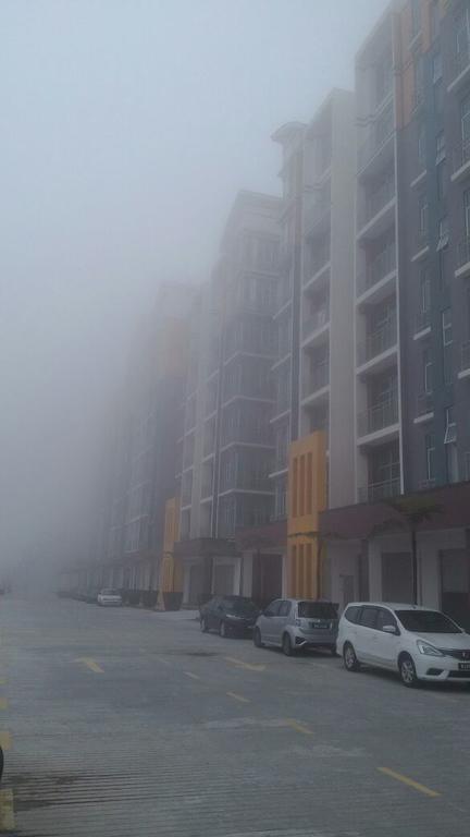 Dephane * Cameron Highlands